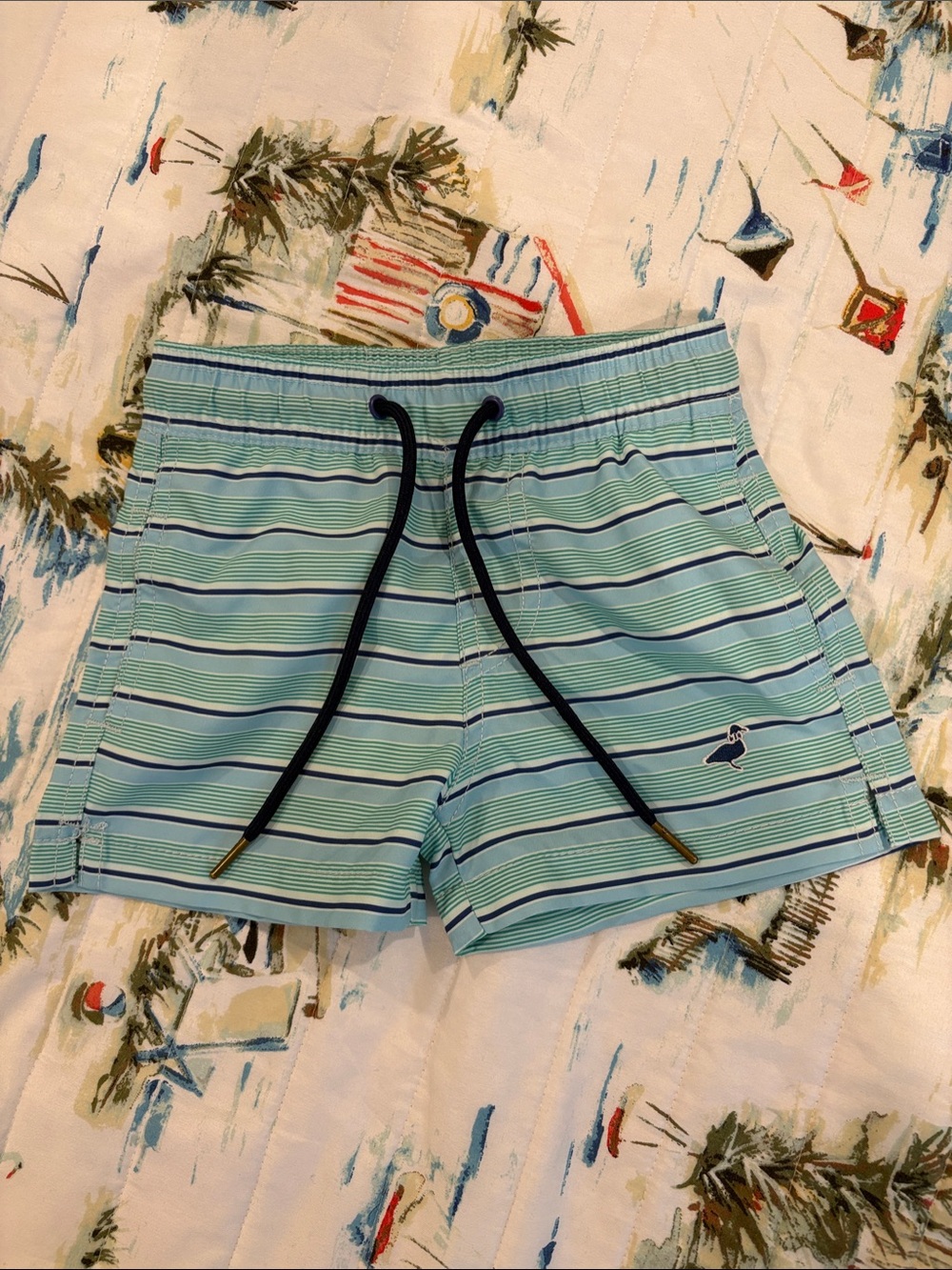 Striped Light Blue/Green Swim Shorts with Drawstring
